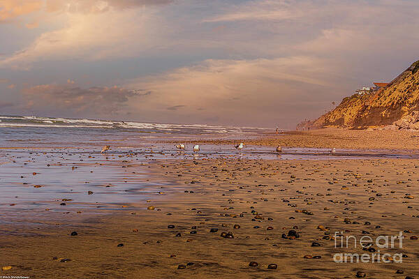 Springtime Swami's Beach Print