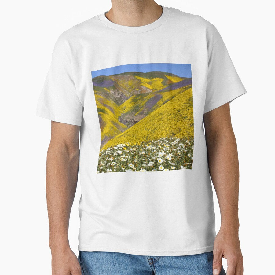 Superbloom - Incredible California wildflowers by MH65Designs