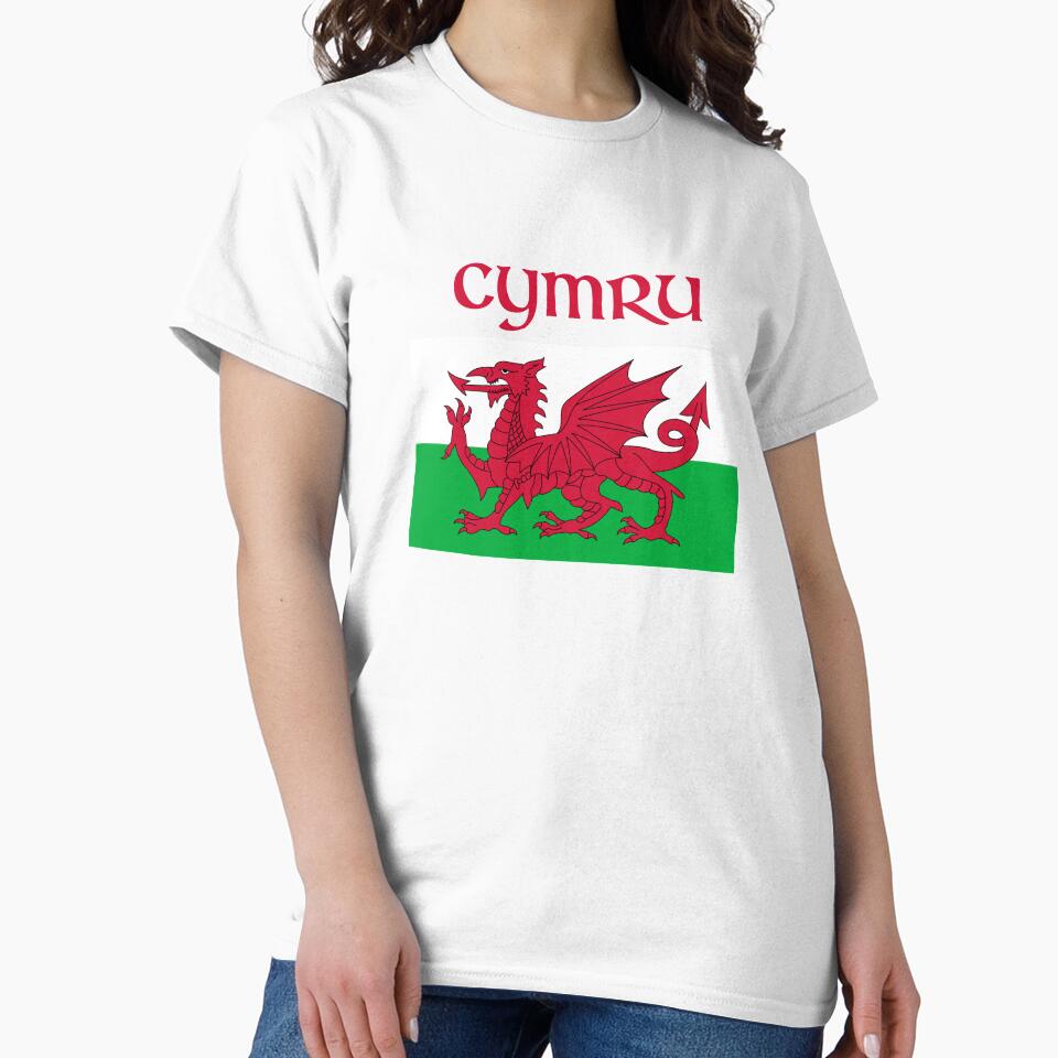 Wales Dragon Flag Welsh Retro Cymru Medieval by majuga