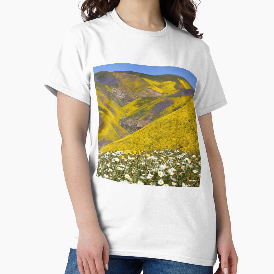 Superbloom - Incredible California wildflowers by MH65Designs