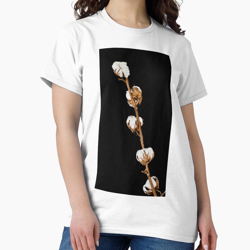 cotton sprig by IgorKovalenko