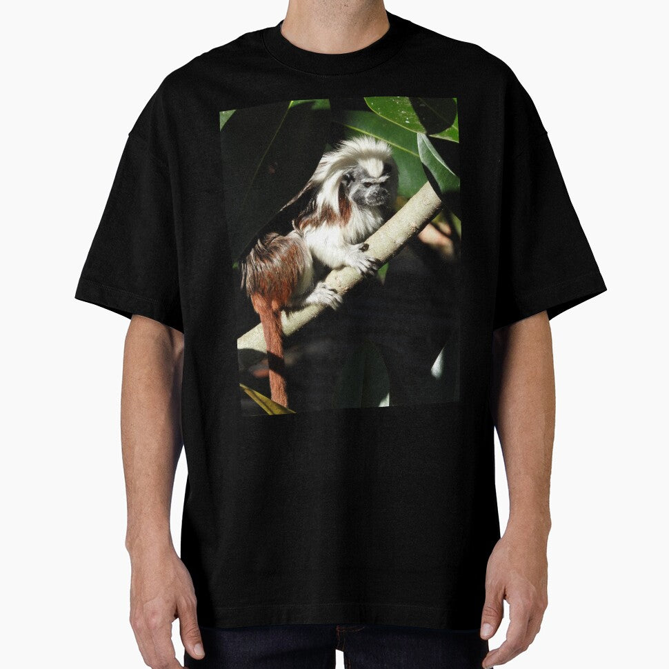 Cotton-top Tamarin by kirstybush