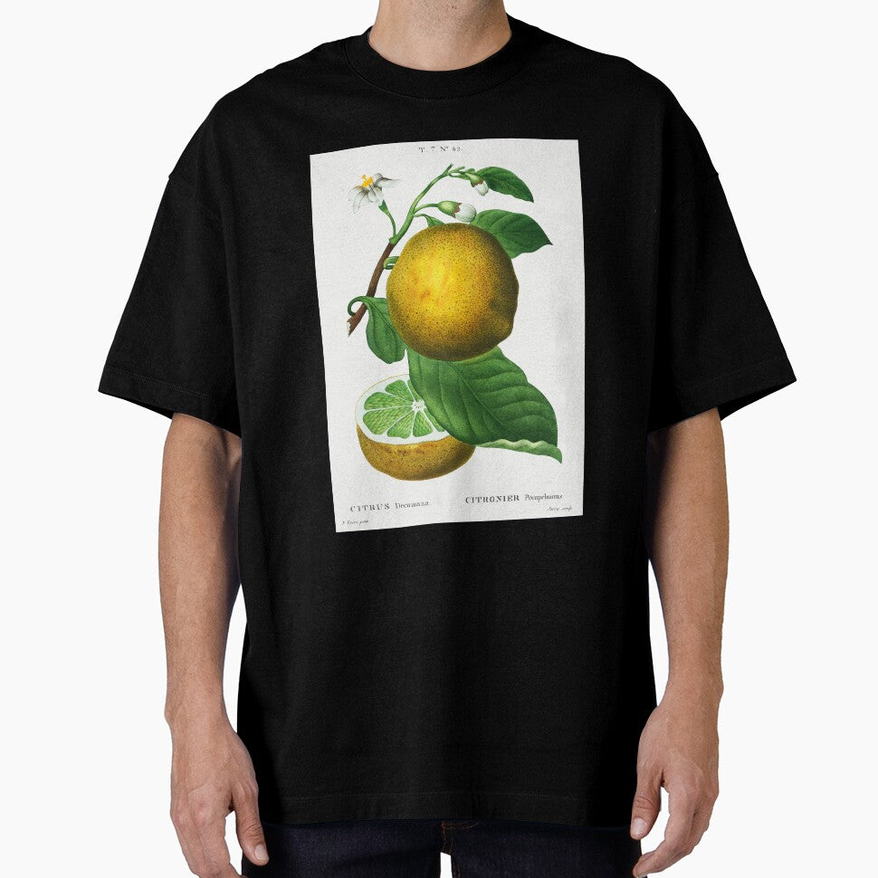 Retro Kitchen - Grapefruit by Inspirationmotivation