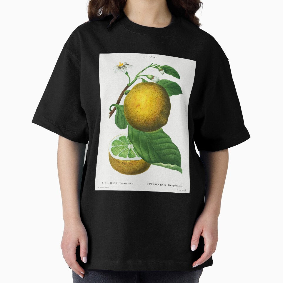 Retro Kitchen - Grapefruit by Inspirationmotivation