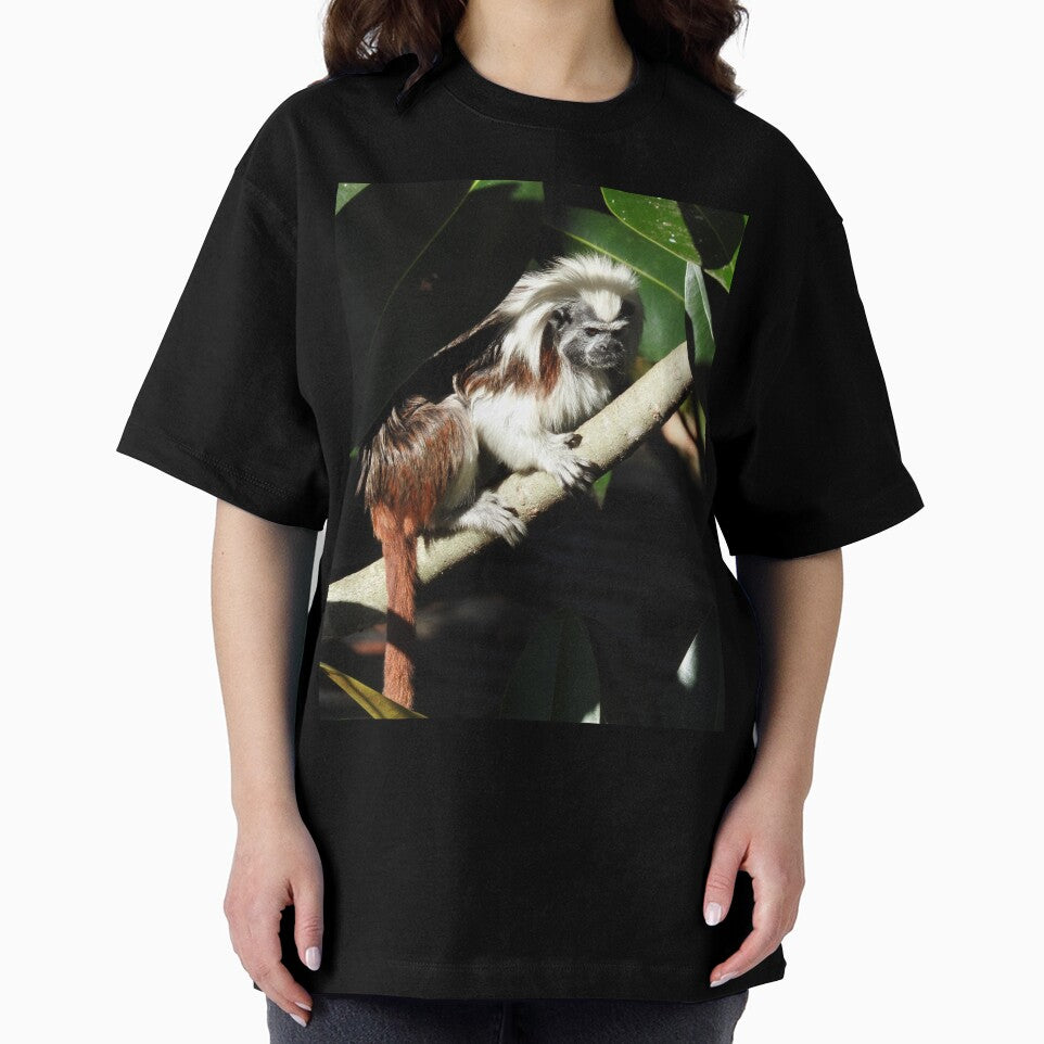 Cotton-top Tamarin by kirstybush