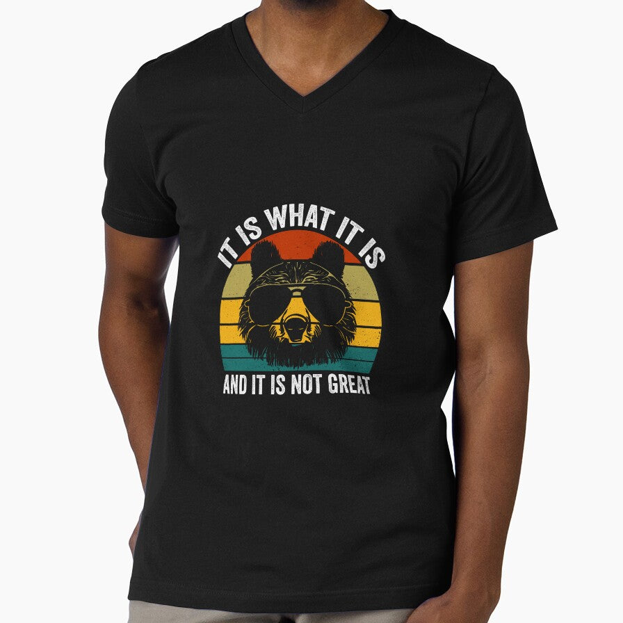 It Is What It Is and It Is Not Great Funny Cartoon Bear Meme by 7Merch