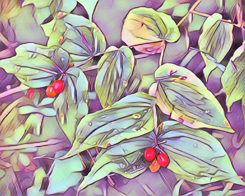 Stylized Leaves With Berries For Christmas Print