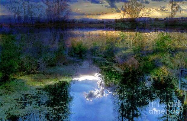Sunset In The Bayou Print