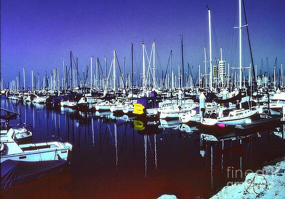 The Yachts Are Home Print