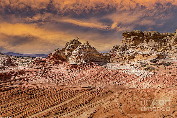 White Pocket Arizona Golden Hour Print