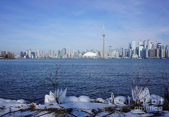 Winter In Toronto Print