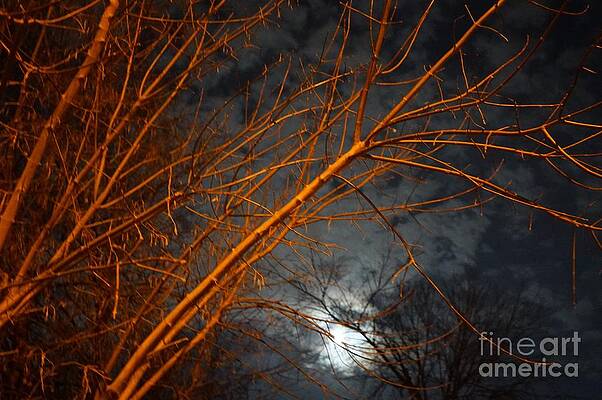 Winter's Night True Moon Print