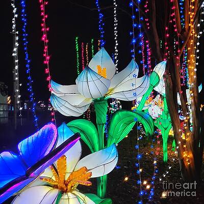 Vivid Garden Light Display Print